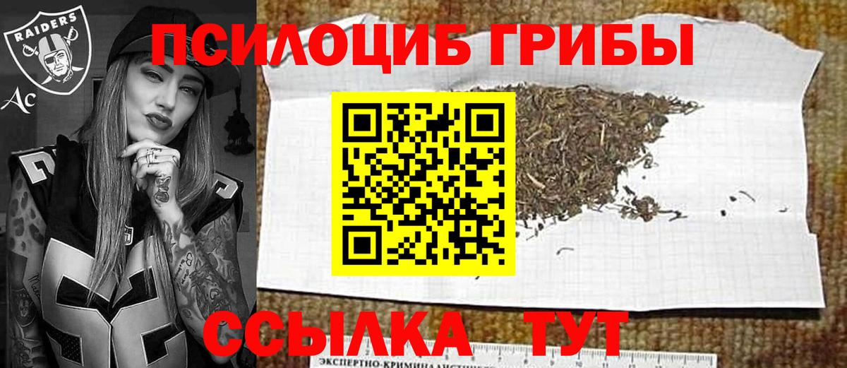 Галлюциногенные грибы Magic Shrooms  Галлюциногенные грибы мицелий  Валуйки  купить наркотики цена  Вход с VPN 